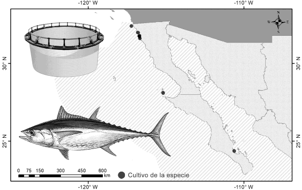 Equipamiento para Pescar Redes de Pesca en Xochimilco